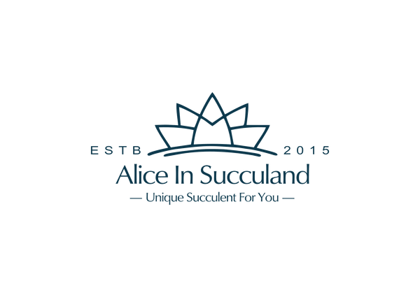 aliceinsucculand
