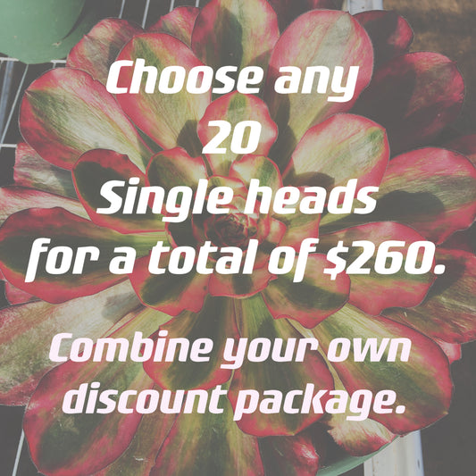 Sale！！！Choose any 20 Single heads for a total of $260.Combine your own discount package.
