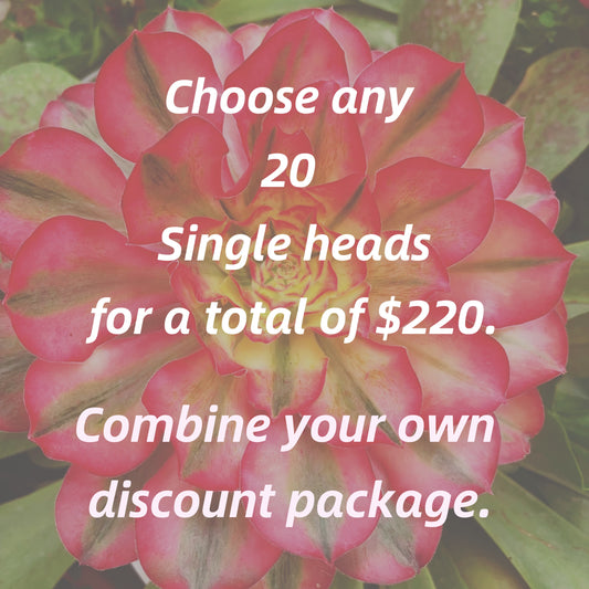 Choose any 20 Single heads for a total of $220.Combine your own discount package.