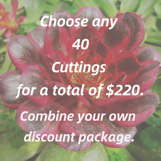 Choose any 40 cuttings for a total of $220.Combine your owndiscount package.